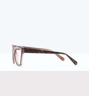 Tort Apricot--side_image