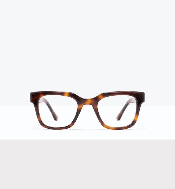 Tortoise--front_image