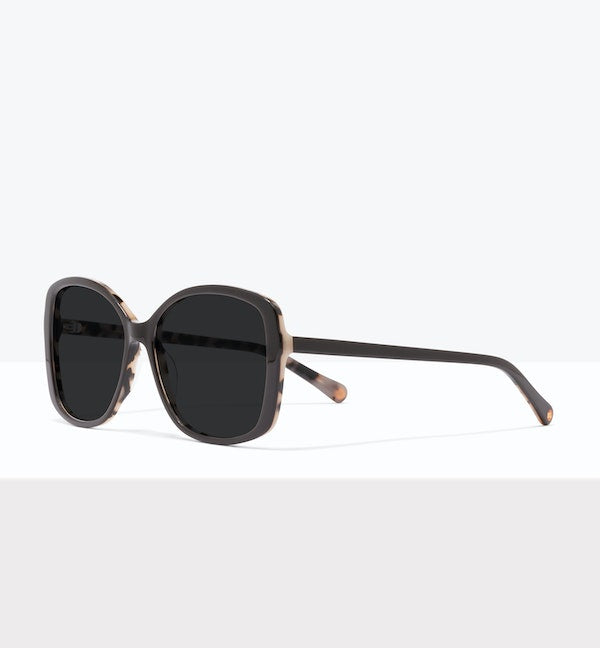 Brown Cream Tort--angled_image_sun