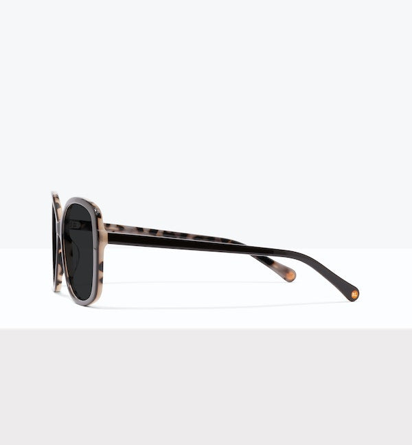 Brown Cream Tort--side_image_sun