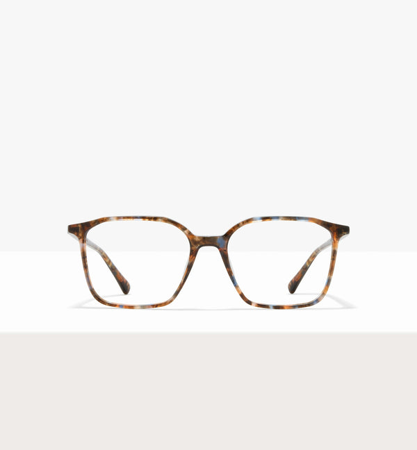 Amber Tort--front_image