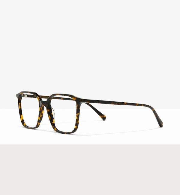 Brown Tort--angled_image