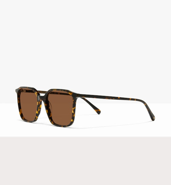 Brown Tort--angled_image_sun