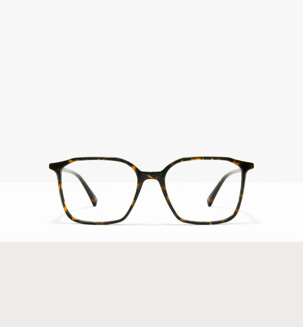 Brown Tort--front_image