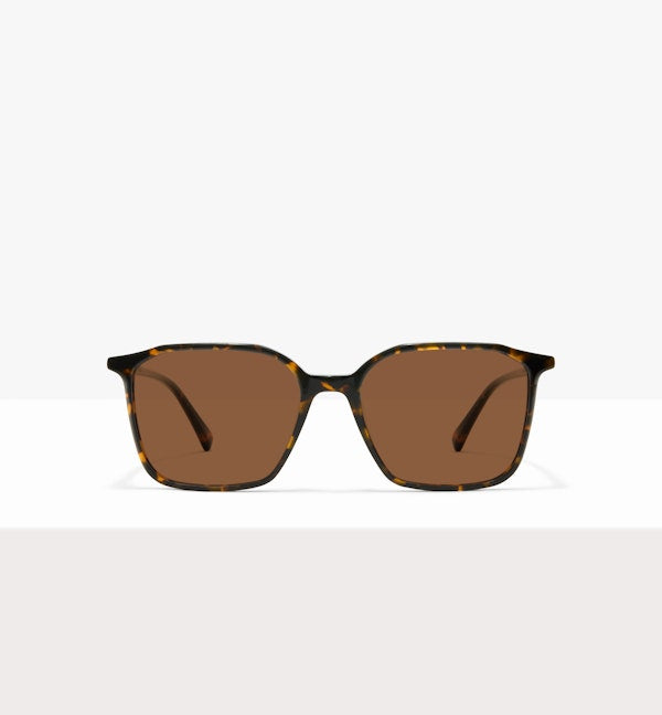 Brown Tort--front_image_sun