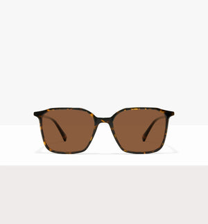 Brown Tort--front_image_sun