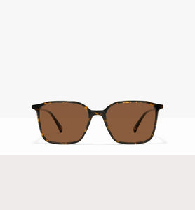 Brown Tort--front_image_sun