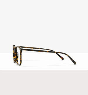 Brown Tort--side_image