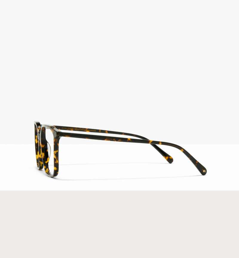 Brown Tort--side_image