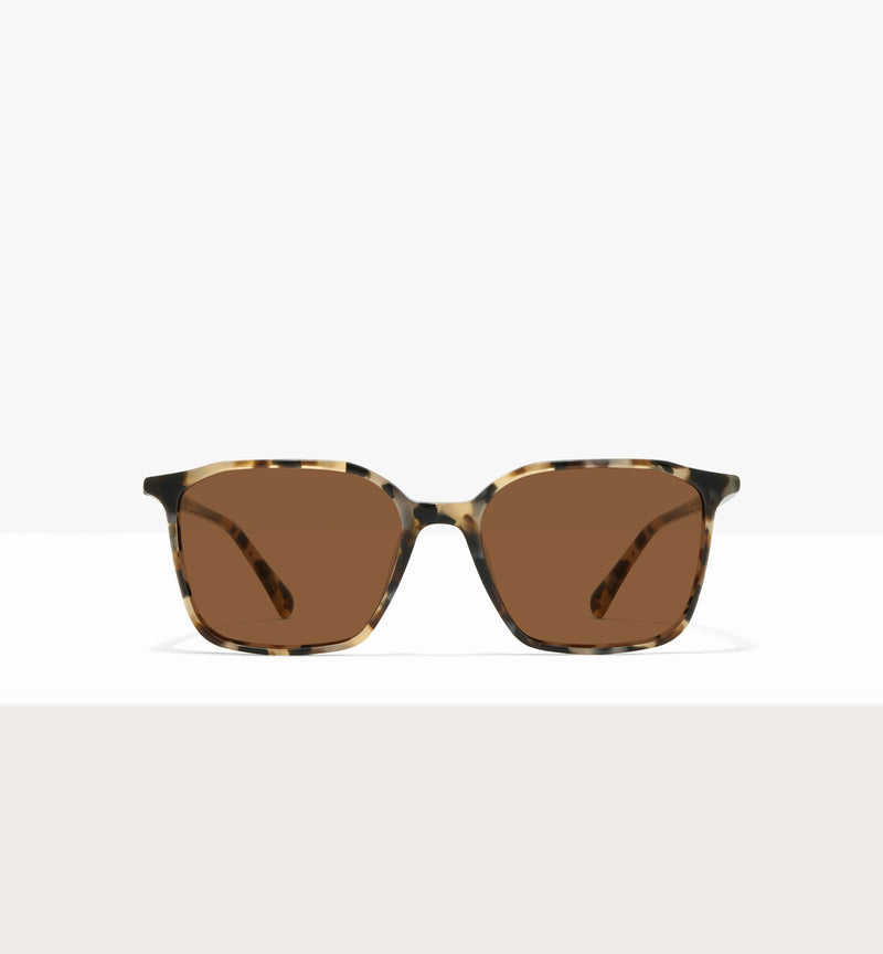 Cream Tort--front_image_sun