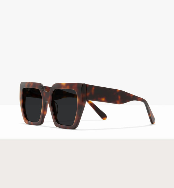 Dark Brown Tort--angled_image_sun
