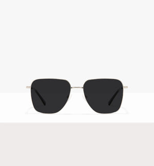 Grey Tort--front_image_sun