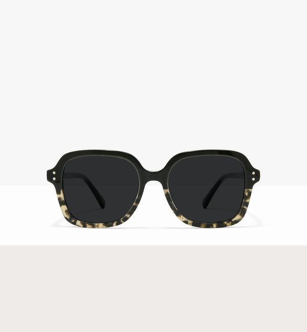 Black Tort Demi--front_image_sun