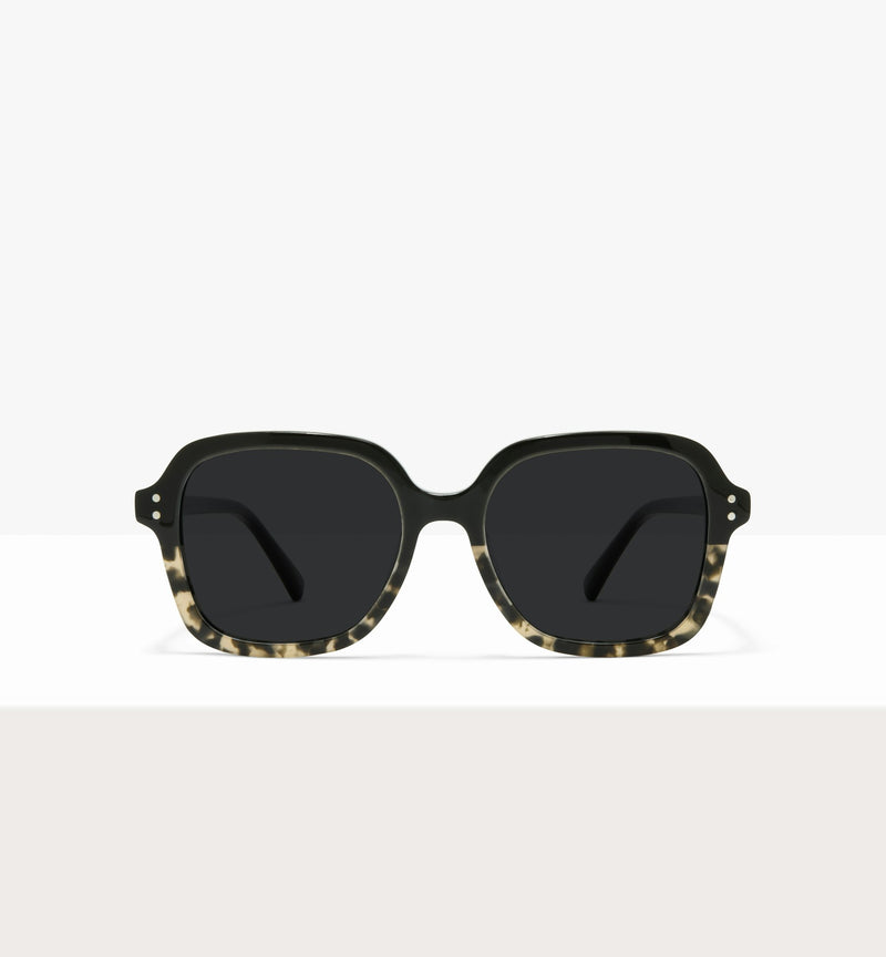 Black Tort Demi--front_image_sun