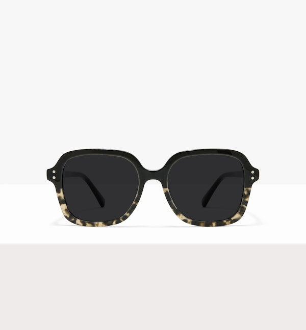 Black Tort Demi--front_image_sun