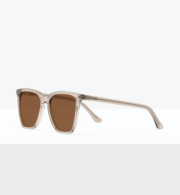 Oyster--angled_image_sun