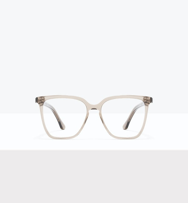 Oyster--front_image