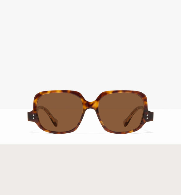 Copper Tort--front_image_sun
