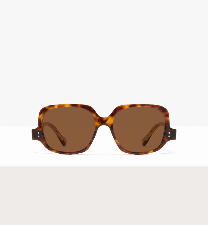 Copper Tort--front_image_sun