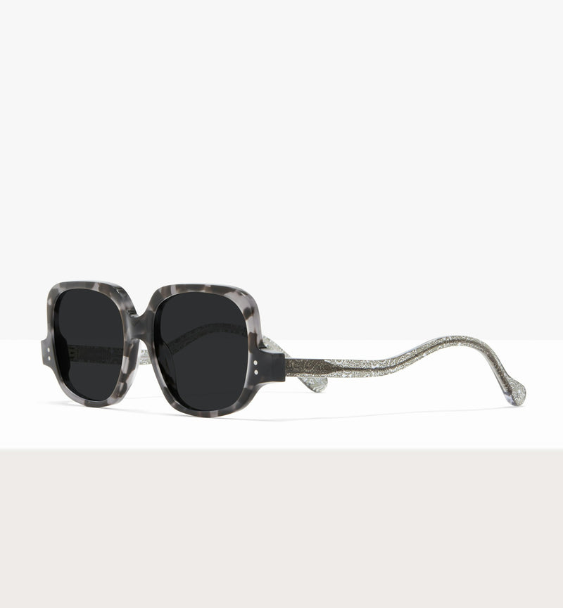 Grey Tort--angled_image_sun