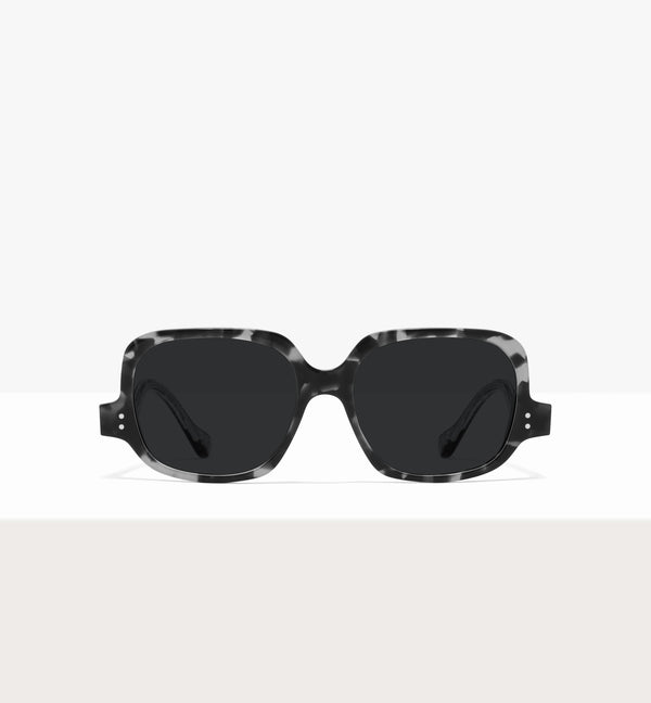 Grey Tort--front_image_sun