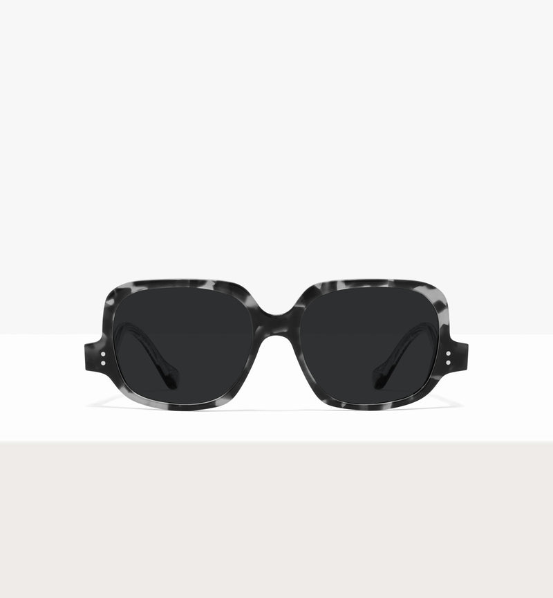Grey Tort--front_image_sun