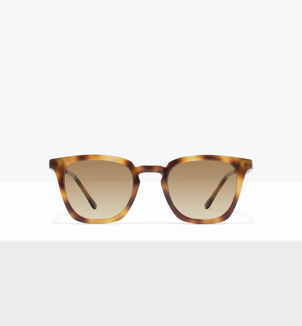 Ageless Tort--front_image_sun