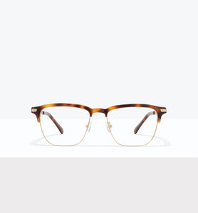 Tortoise--front_image