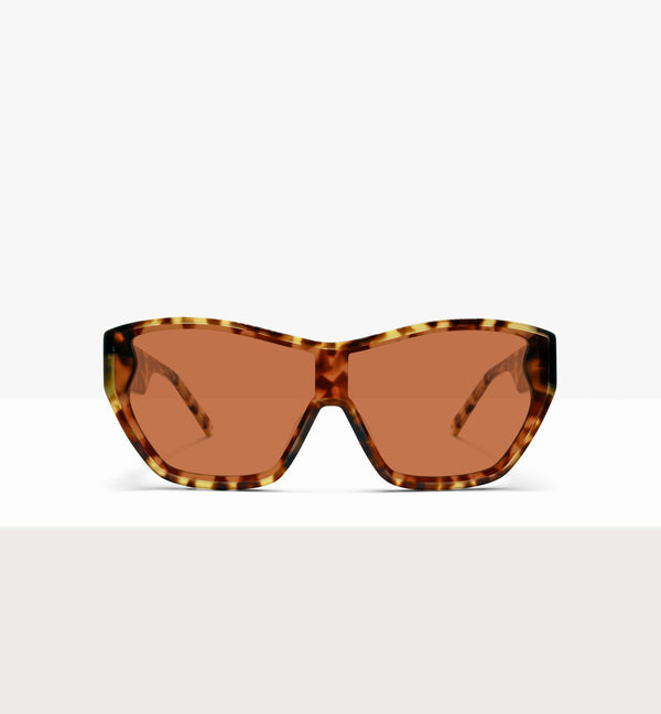 Light Tort--front_image_sun