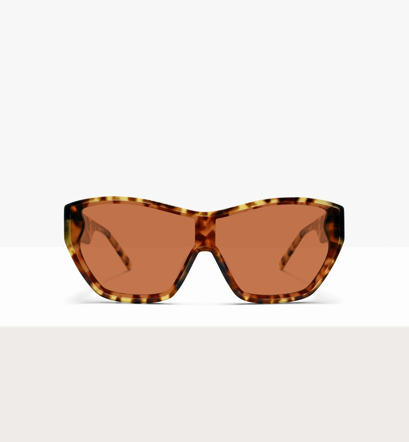 Light Tort--front_image_sun