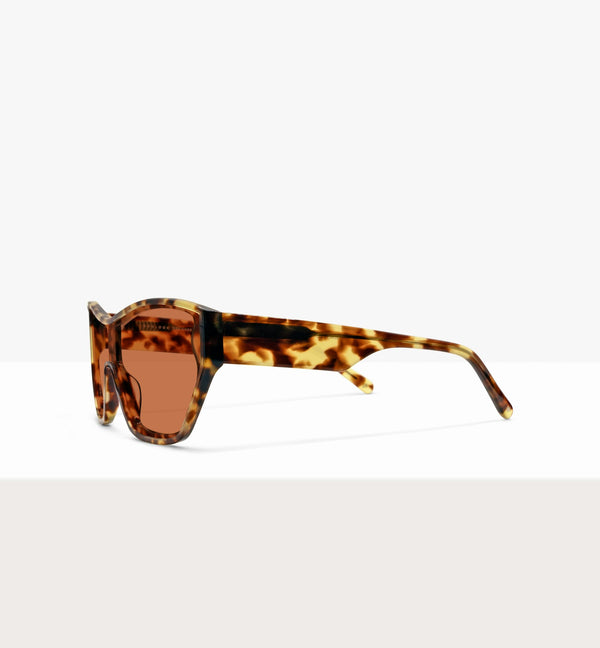Light Tort--side_image_sun