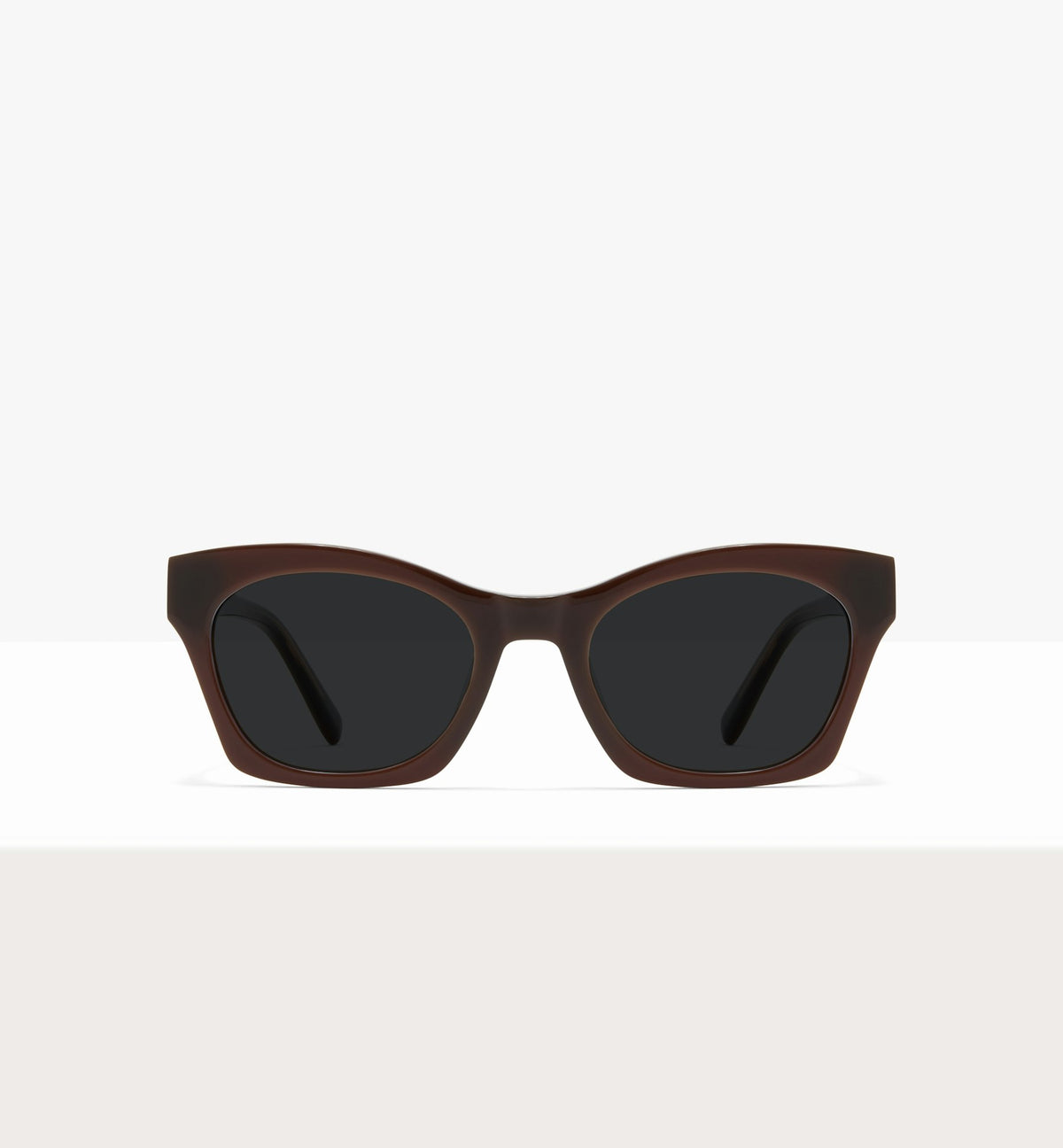 Cocoa--front_image_sun