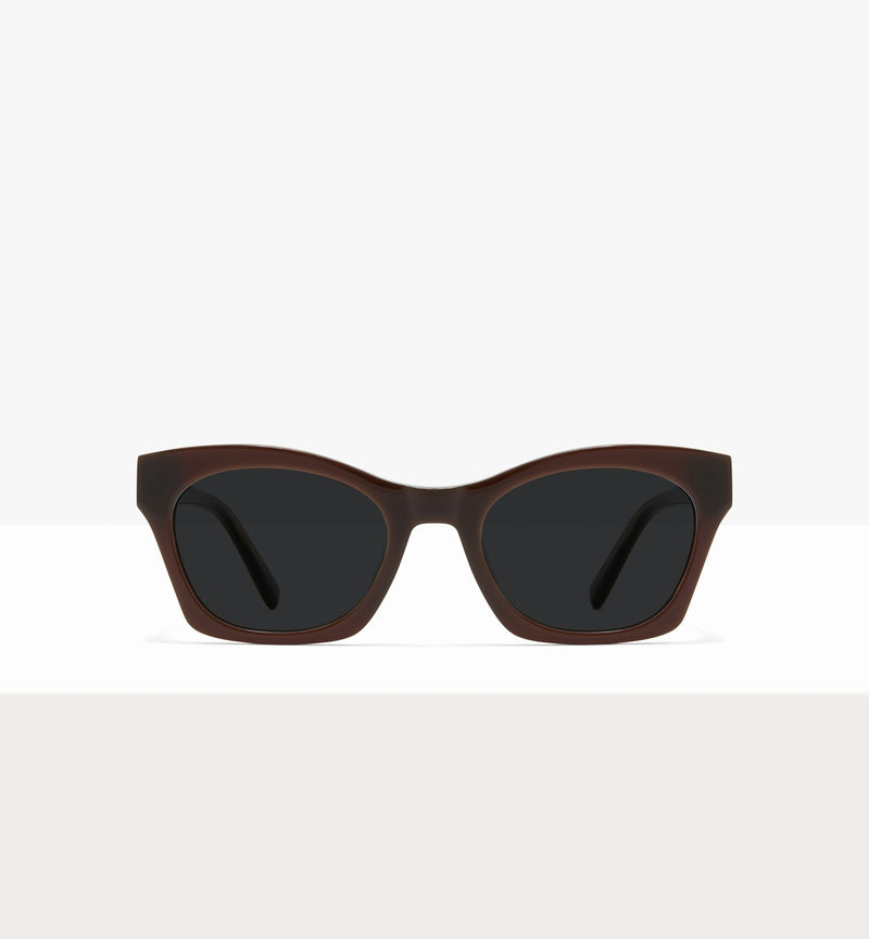 Cocoa--front_image_sun