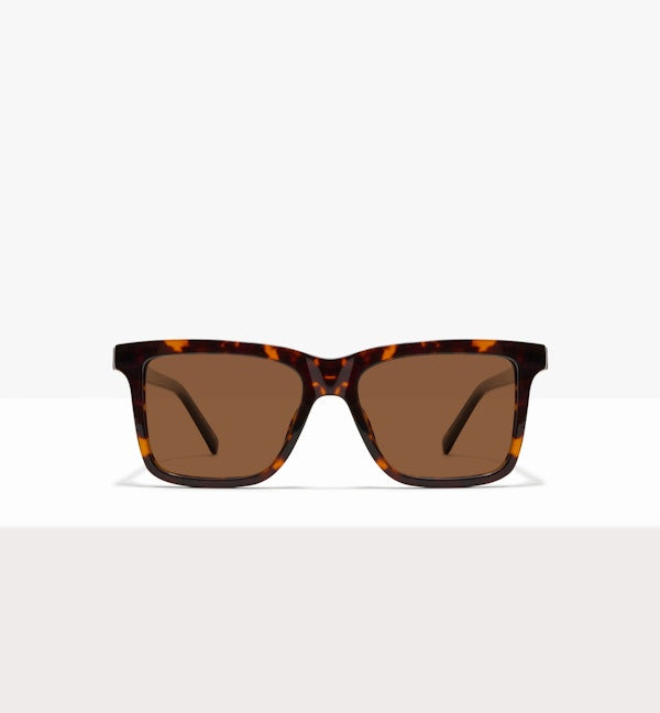 Brindle--front_image_sun