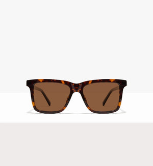 Brindle--front_image_sun