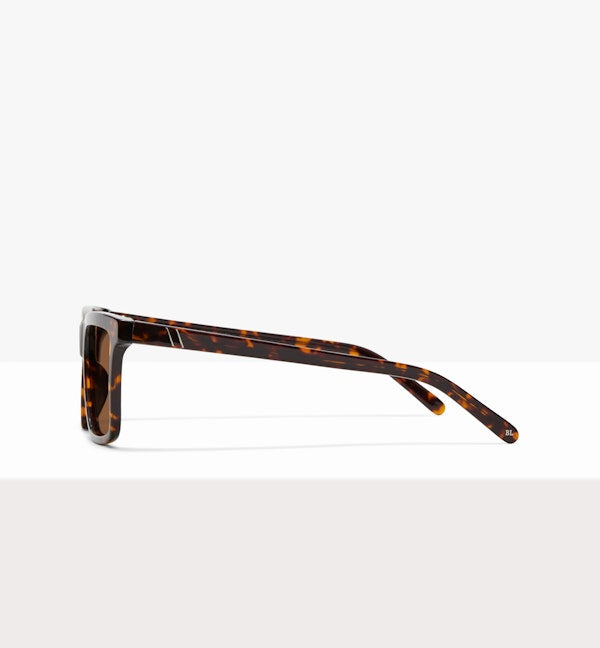 Brindle--side_image_sun