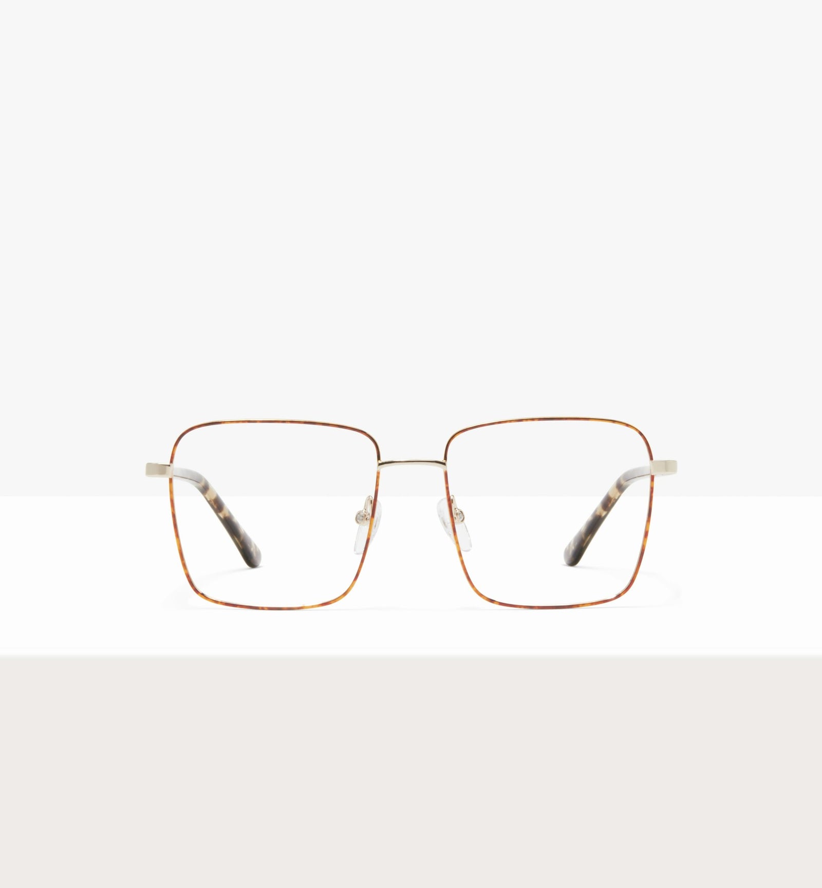 Leopard--front_image