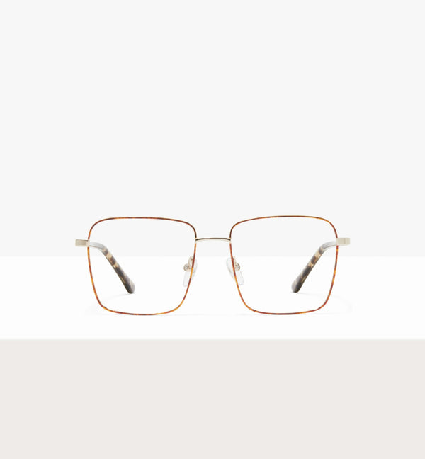 Leopard--front_image