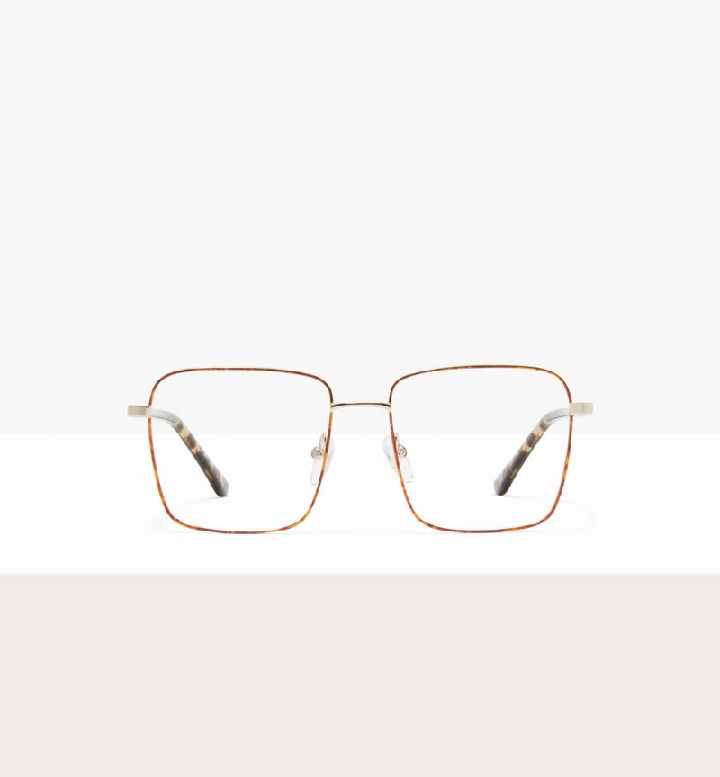 Leopard--front_image