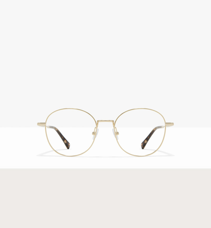 GOLD--front_image