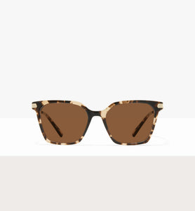 Leopard--front_image_sun