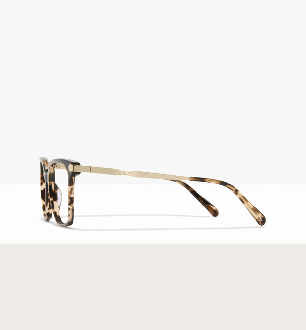 Leopard--side_image
