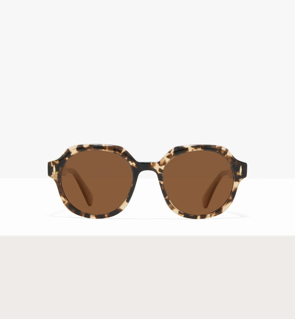Leopard--front_image_sun