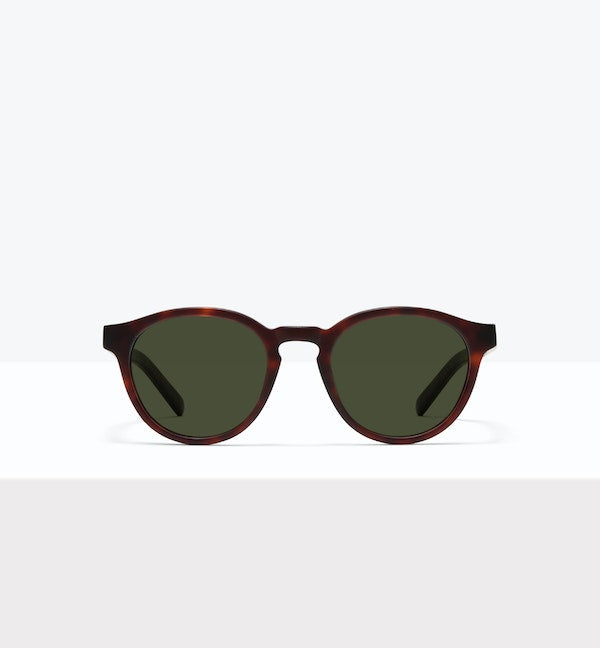 Matte Tortoise--front_image_sun