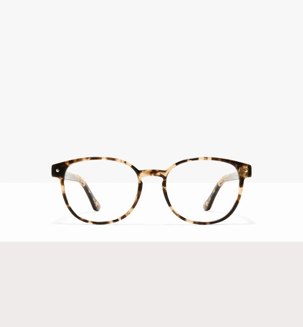 Leopard--front_image