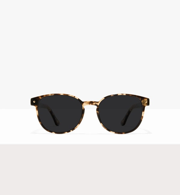 Leopard--front_image_sun