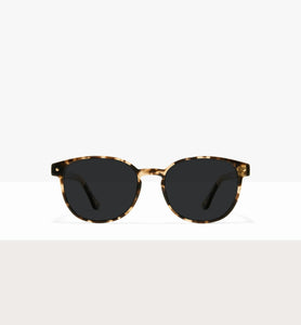 Leopard--front_image_sun