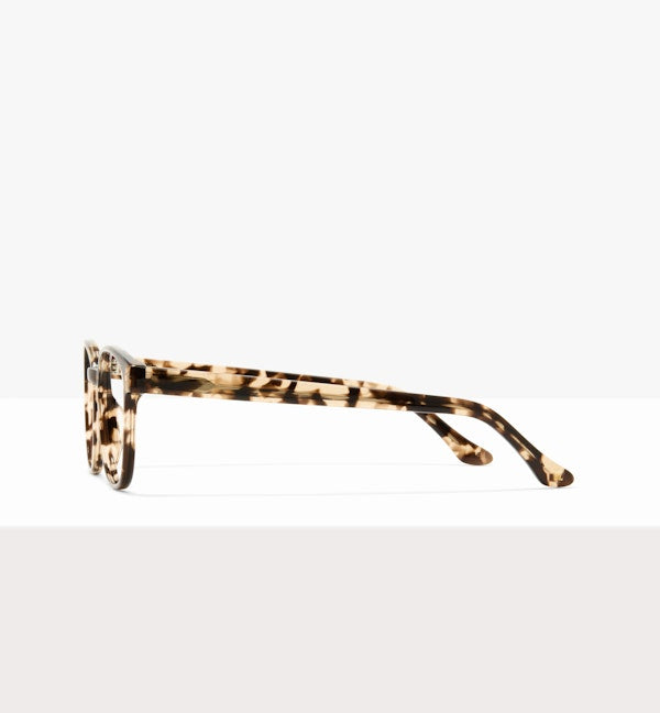 Leopard--side_image