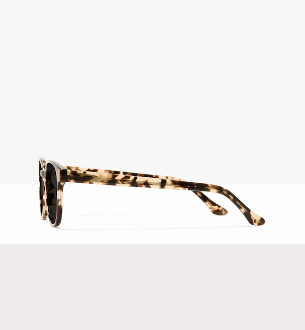 Leopard--side_image_sun