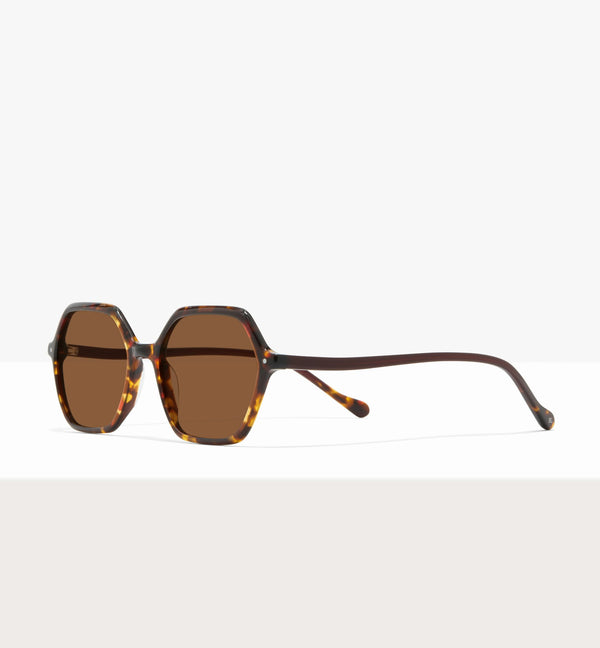 Brown Tort--angled_image_sun